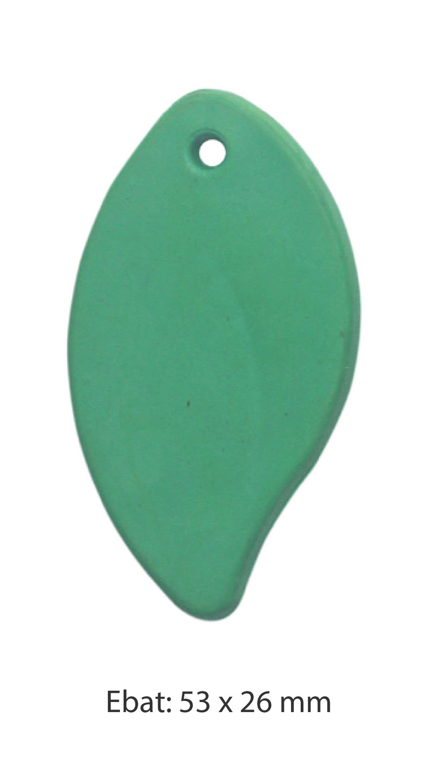 Silgi