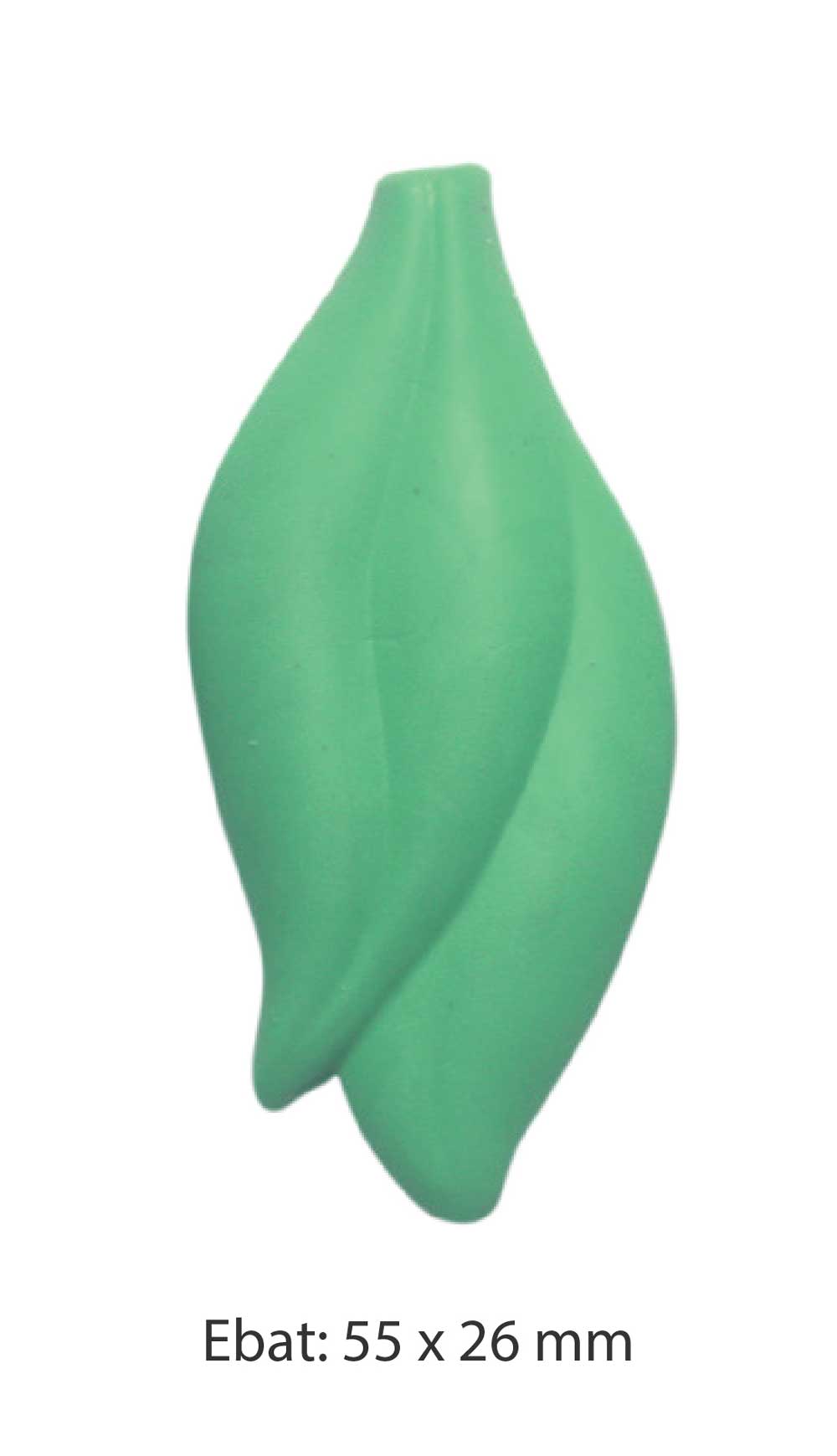 Silgi
